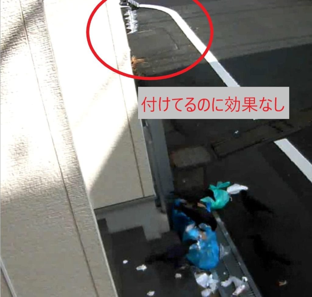キラキラグッツを付けている下でカラスがゴミをあさっている瞬間の監視カメラ画像